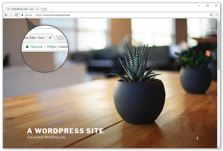 Your WordPress website now shows in https