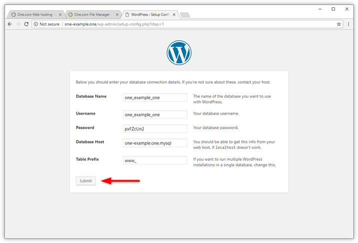 wp-manual-database-enter-details.png