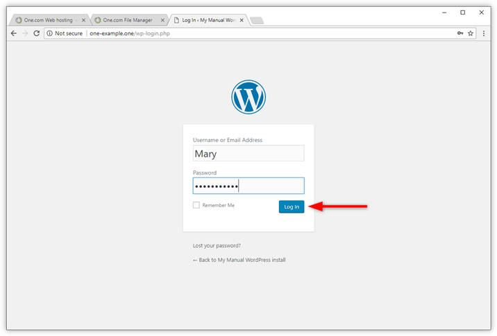 wp-manual-log-in-first-time.png