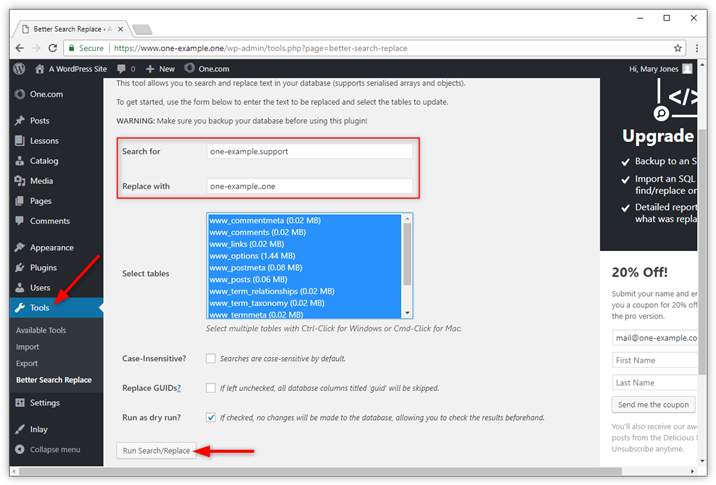 wp-migrate-manual-08.png